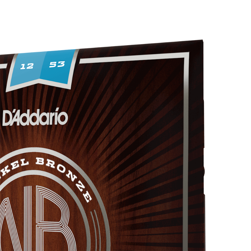 D'Addario guitar strings, 12-53 regular light nickel bronze acoustic set on brown packaging with D'Addario logo