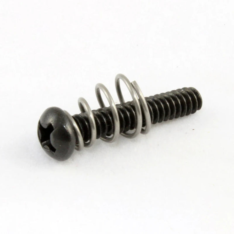 Allparts Single Coil Pickup Screws