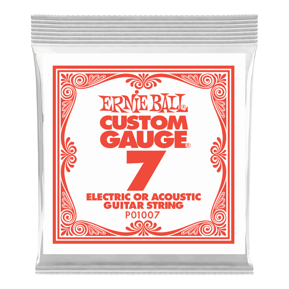 Ernie Ball Plain Steel Guitar Strings