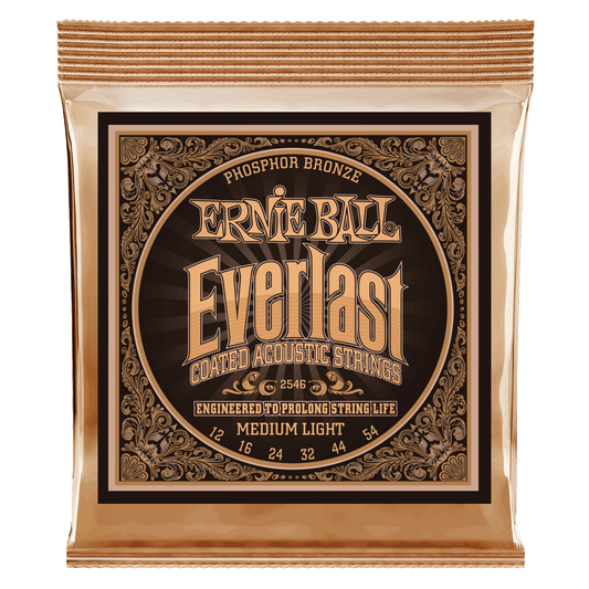 Ernie Ball 12-54 Everlast Coasted Phosphor Bronze Acoustic Strings