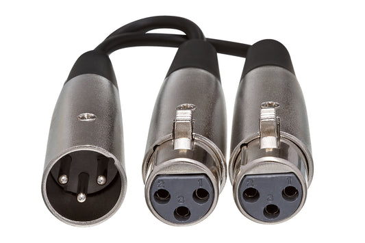 Hosa YXF-101.5 Y Cable- XLR Male to Dual XLR Female, 1.5 Ft