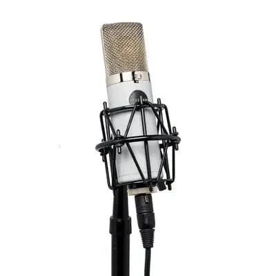 Mojave Audio MA-301FET condenser microphone with vintage gray finish and shock mount.