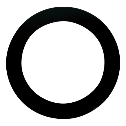 Black rubber gasket on a white background