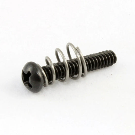 Allparts Single Coil Pickup Screws