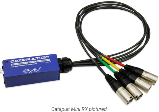 Catapult Mini RX audio cable with Radial logo on a white background